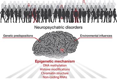 Editorial: Neuroepigenetics of Neuropsychiatric Disease—Hope, Success and Obstacles for Translational Findings and Applications